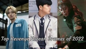Read more about the article Top Revenge Korean Dramas of 2022