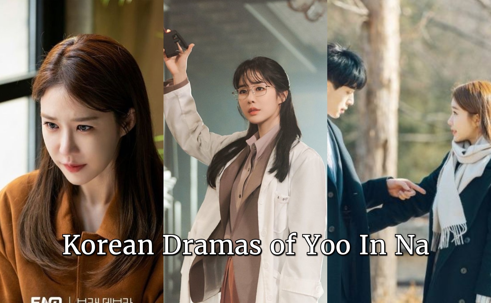 Read more about the article Korean Dramas of Yoo In Na
