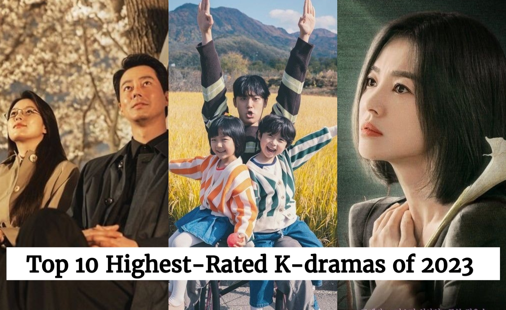 Top Highest Rated Korean Dramas Of Korean Lovey