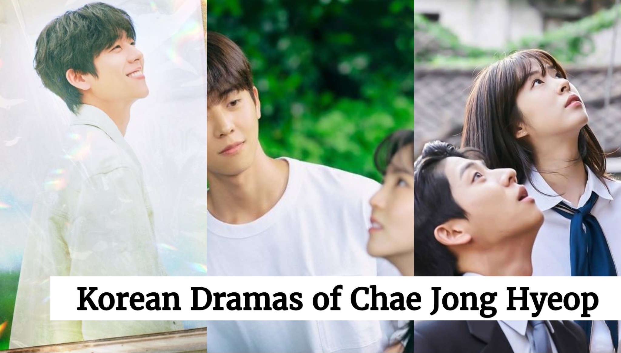 Korean Dramas of Chae Jong Hyeop Korean Lovey